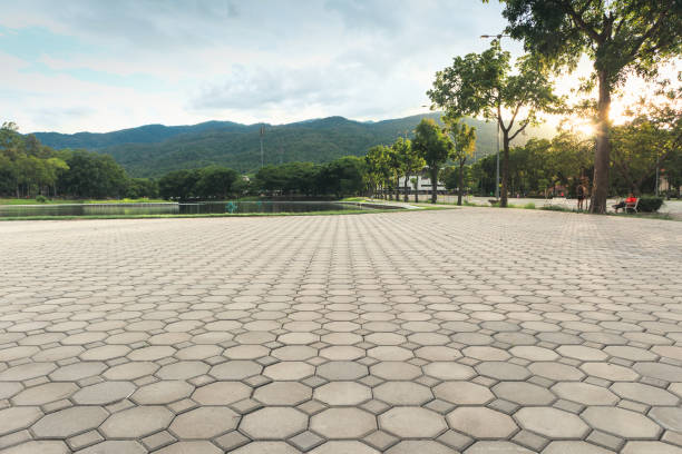 Best Decorative Driveway Pavers  in Elkins, WV