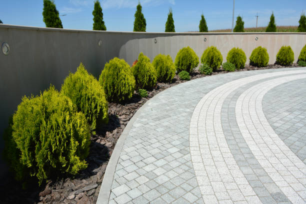 Best Concrete Paver Driveway  in Elkins, WV
