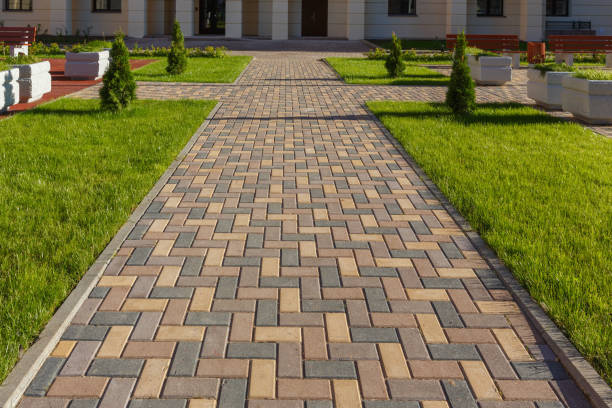 Best Custom Driveway Pavers  in Elkins, WV