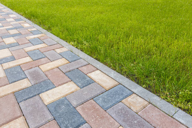 Best Driveway Pavers Contractor  in Elkins, WV